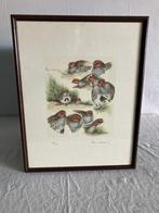 Gravure - François Le Hardy de Beaulieu - "patrijzen" 58/300, Antiek en Kunst, Ophalen of Verzenden