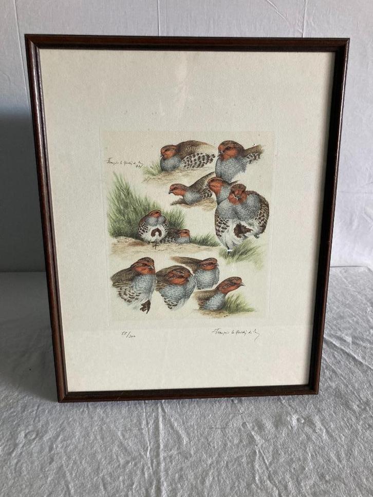 Gravure - François Le Hardy de Beaulieu - "patrijzen" 58/300, Antiek en Kunst, Kunst | Schilderijen | Klassiek, Ophalen of Verzenden