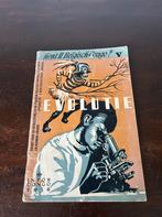 Congo belge 1958, Enlèvement ou Envoi