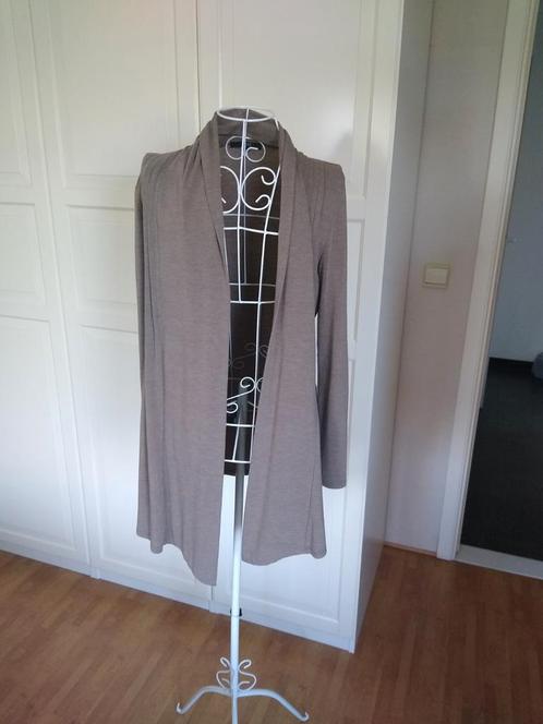 S (36/38) zonder sluiting, Kleding | Dames, Truien en Vesten, Gedragen, Maat 36 (S), Overige kleuren, Ophalen of Verzenden