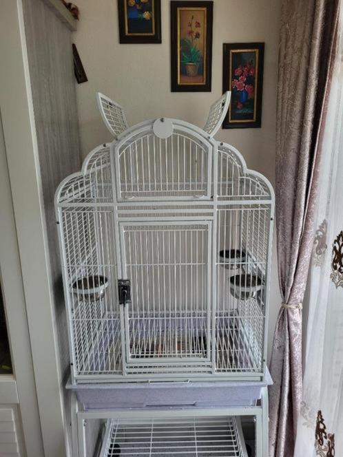 Grande cage pour perroquet ou grande perruche, Animaux & Accessoires, Oiseaux | Cages & Volières, Comme neuf, Cage à oiseaux, Métal