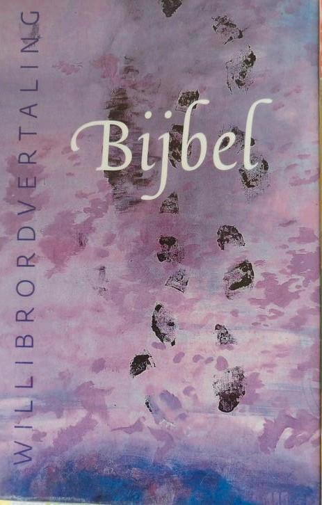 Schoolbijbel, Boeken, Studieboeken en Cursussen, Gelezen, Ophalen of Verzenden