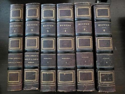Oeuvres complètes de Buffon 6 volumes 1839, Antiek en Kunst, Antiek | Boeken en Manuscripten, Ophalen of Verzenden