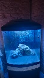 Aquarium 130l, Animaux & Accessoires, Comme neuf, Enlèvement ou Envoi