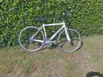 Damesfiets zannata, Fietsen en Brommers, Minder dan 10 versnellingen, Gebruikt, 26 inch, Ophalen