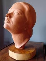 hoofd in  terracotta, Ophalen
