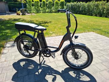 Elektrische fatbike Radrunner 2 - 25km/h - utility cargo beschikbaar voor biedingen