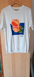 Shirt en fines mailles / Zara / taille m, Kleding | Dames, Blouses en Tunieken, Maat 38/40 (M), Ophalen of Verzenden, Zo goed als nieuw