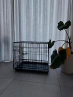 Bench hond, Enlèvement