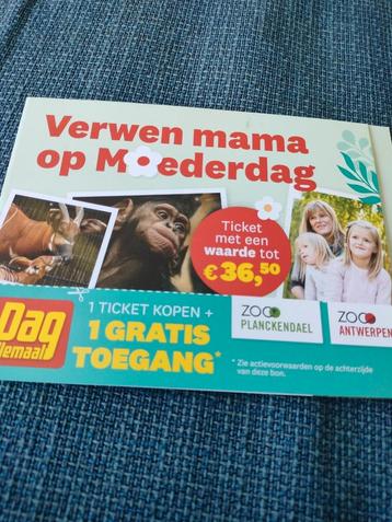 Korting ticket Zoo Antwerpen