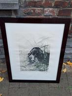 Gravure signe leon danchin, Antiek en Kunst, Kunst | Etsen en Gravures, Ophalen of Verzenden