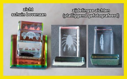 KREEFT zwevend in glas (ook dierenriemteken), Antiek en Kunst, Kunst | Designobjecten, Verzenden