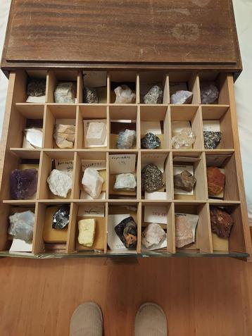 Collection complète de minéraux et pierres naturelles beschikbaar voor biedingen