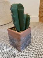 Valse cactus in pot, Tuin en Terras, Terracotta, Zo goed als nieuw, Ophalen
