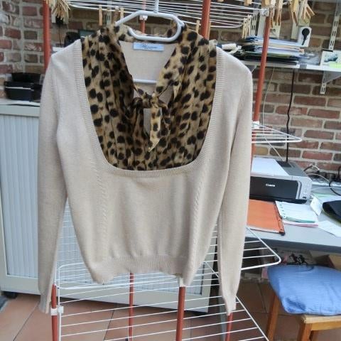 Fijn pulleke beige zijde cashmere Blumarine mt 36 (it40), Kleding | Dames, Truien en Vesten, Zo goed als nieuw, Maat 36 (S), Beige