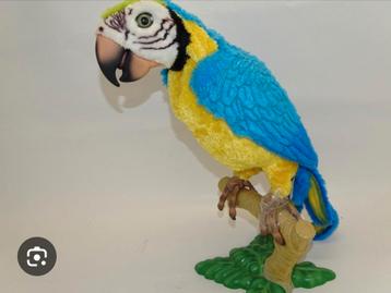 Furreal McCaw papegaai beschikbaar voor biedingen