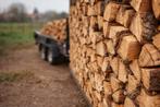 Brandhout – halfdroog loofhout – levering mogelijk – Kempen, Tuin en Terras, Brandhout, 6 m³ of meer, Ophalen of Verzenden, Beukenhout