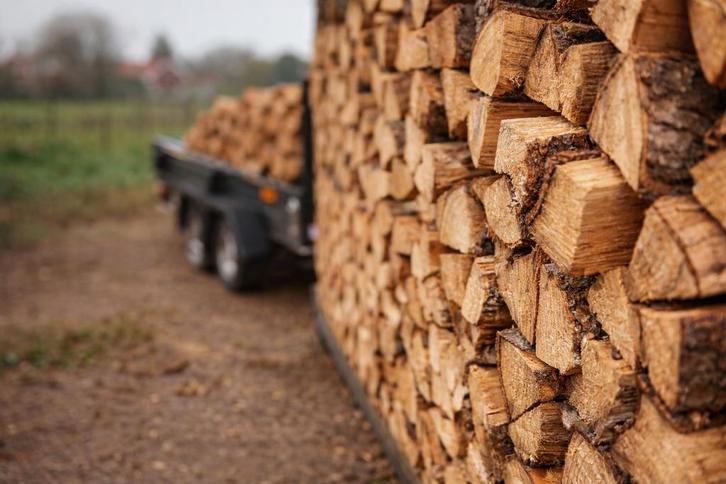 Brandhout – halfdroog loofhout – levering mogelijk – Kempen, Jardin & Terrasse, Bois de chauffage, Bûches, Hêtre, 6 m³ ou plus