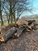 Brandhout te koop, 6 m³ ou plus, Enlèvement, Troncs d'arbres