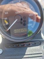 HARLEY DAVIDSON, Motoren, 2 cilinders, Chopper, 883 cc, Particulier