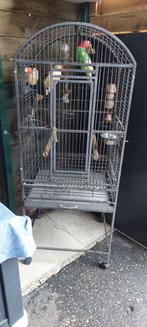 Cage pour perroquets, Comme neuf, Enlèvement ou Envoi