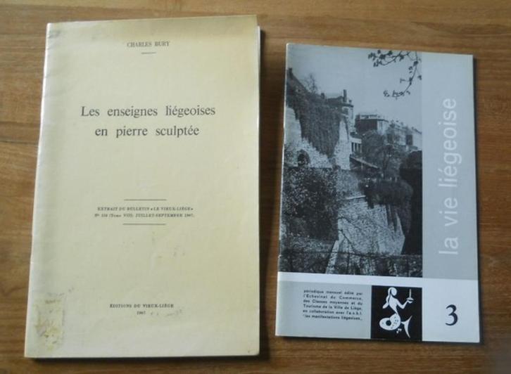 Les enseignes liégeoises en pierre sculptées, Boeken, Kunst en Cultuur | Architectuur, Gelezen, Ophalen of Verzenden