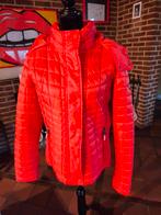 Rode jas van Superdry. Maat XL., Ophalen, Superdry, Maat 42/44 (L), Zo goed als nieuw