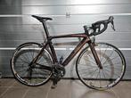 Orbea orca, Carbone