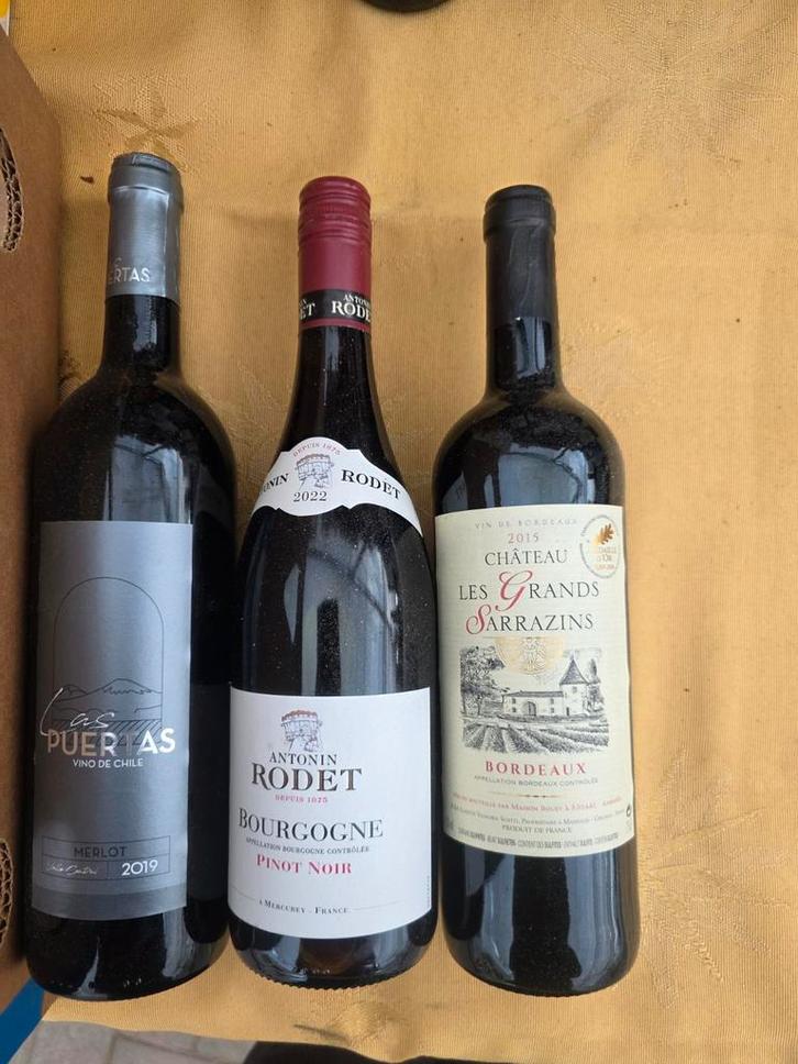 Rode wijnen te koop – gevarieerd & kwaliteit, Collections, Vins, Pleine, Enlèvement