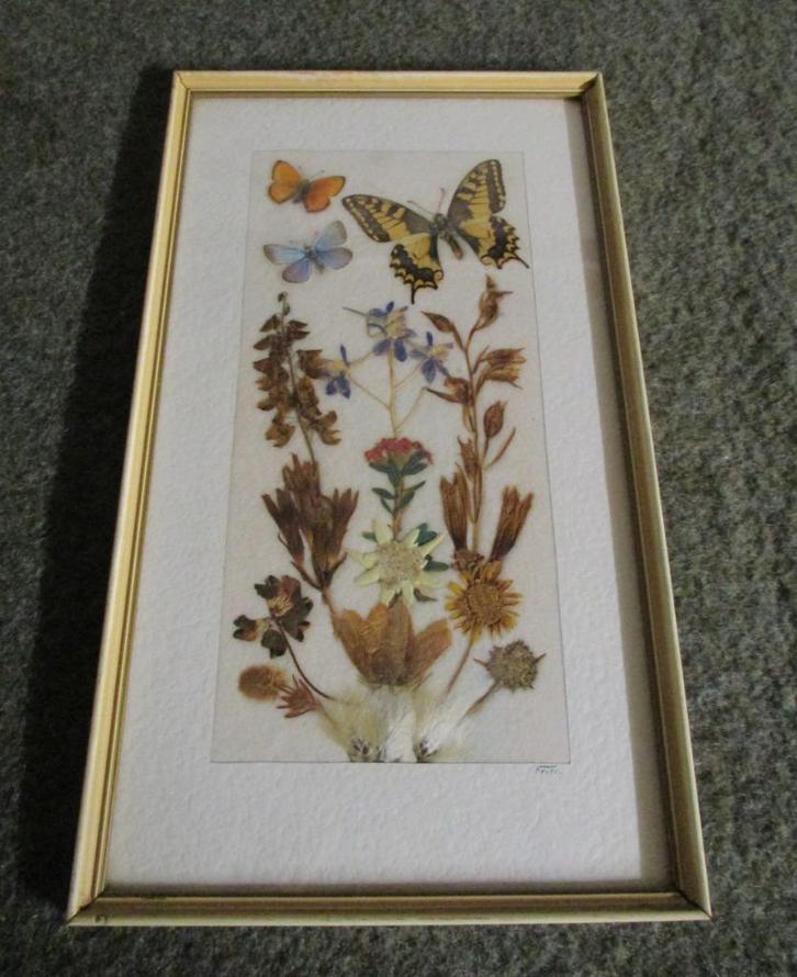 Vlinder en bloemenkader, Antiek en Kunst, Curiosa en Brocante, Ophalen of Verzenden