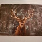 Setje wenskaarten, Enlèvement