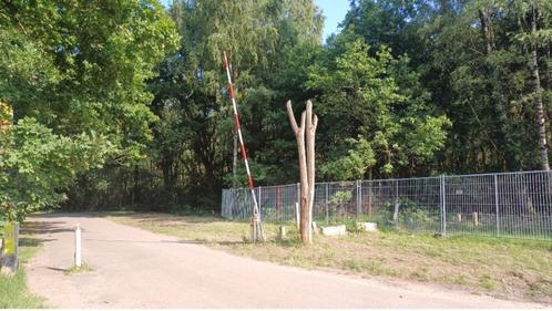 Bos / Bomenkap, Immo, Gronden en Bouwgronden, 1500 m² of meer