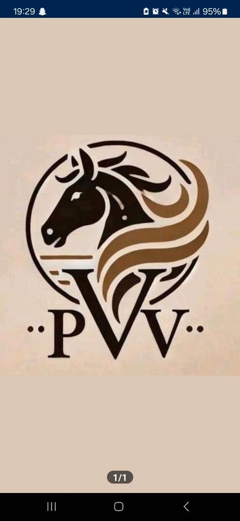 Zadelmak maken, uitbrengen wedstrijd, trainen paard, Dieren en Toebehoren, Paarden