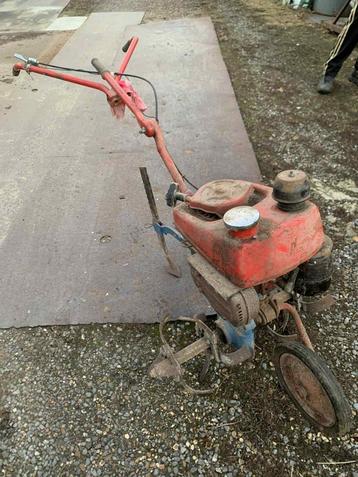 tuinfrees beschikbaar voor biedingen