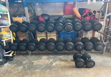 Technogym Dumbells 22-42kg Gewichten Dumbell, Ophalen, Gebruikt, Benen, Dumbbell
