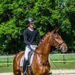 7 jarige merrie, Dieren en Toebehoren, Paarden, Merrie, ZZ, Gechipt, 170 tot 175 cm