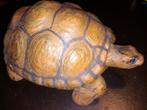 Schildpad uit hout ., Antiek en Kunst, Ophalen of Verzenden