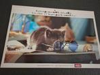 Vintage kalender 1995 Whiskas, Verzamelen, Ophalen of Verzenden, Zo goed als nieuw, Hond of Kat, Overige typen