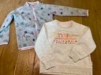 Truitjes maat 110/116, Ophalen of Verzenden, Gebruikt, Meisje, Trui of Vest