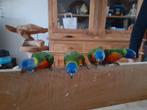 Handtamme Lori's, Dieren en Toebehoren, Vogels | Parkieten en Papegaaien