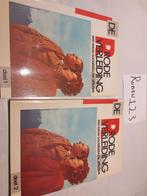 De rode verleiding een eeuw socialistische affiches, Boeken, Ophalen of Verzenden