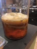 kombucha - Scoby, Ophalen