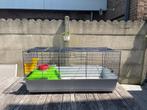Cavia konijn kooi, Ophalen, Gebruikt, Kooi, Cavia