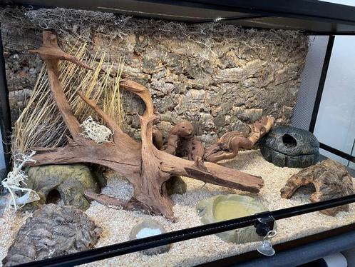 Terrarium désertique., Dieren en Toebehoren, Reptielen en Amfibieën | Toebehoren, Zo goed als nieuw, Terrarium of Paludarium, Ophalen