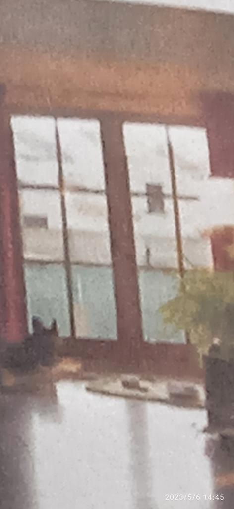 Terrasramen en kleinere ramen in afzelia, Doe-het-zelf en Bouw, Raamkozijnen en Schuifdeuren, Gebruikt, Raamkozijn, Hout, 150 tot 225 cm
