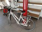Racefiets dames Norta, Fietsen en Brommers, Gebruikt, Dames, Meer dan 20 versnellingen, Ophalen