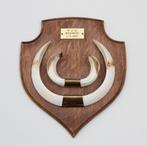 Groot schild tanden EVERZWIJN / WILD ZWIJN - Ardennen (#N), Ophalen of Verzenden, Zo goed als nieuw, Wild dier, Overige typen