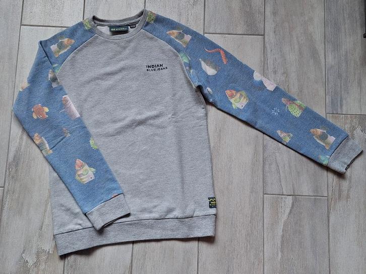 ★ M152 - Trui Indian blue jeans, Enfants & Bébés, Vêtements enfant | Taille 152, Utilisé, Garçon, Pull ou Veste, Enlèvement ou Envoi