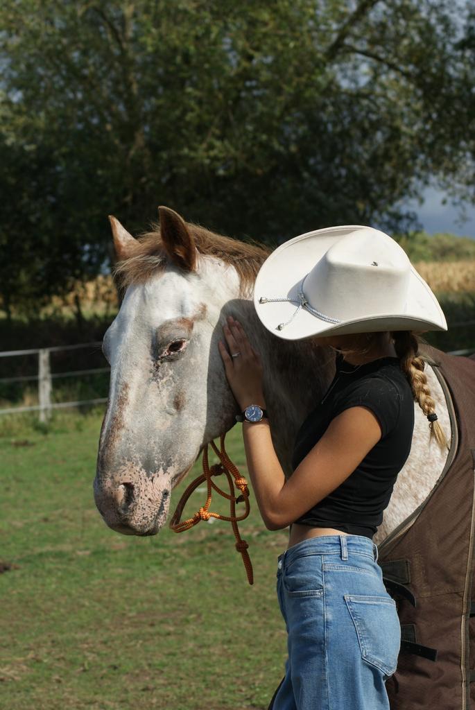 Lieve ruin, Dieren en Toebehoren, Paarden, Ruin