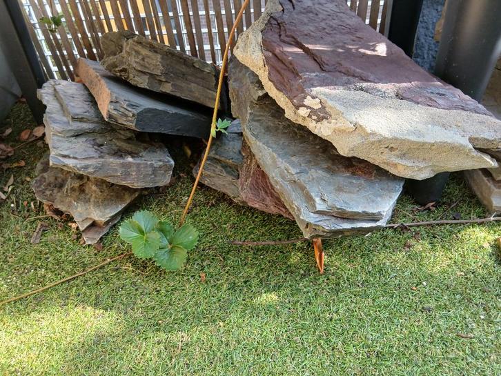 Aquarium te koop 150X60X50 Cm + Onder sub (filter), Dieren en Toebehoren, Vissen | Aquaria en Toebehoren, Zo goed als nieuw, Gevuld zoetwateraquarium